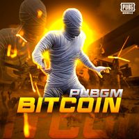 bitcoin_pubgm