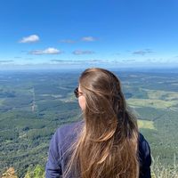 linde__02