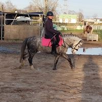.equestrian.erin_