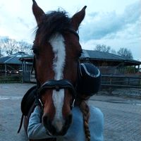 equi..maudje