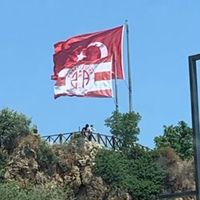 orijinal ses