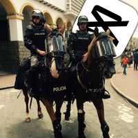 horse_editz_xxx