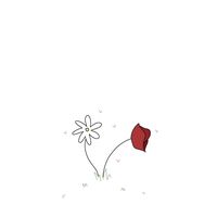 madelief.allie