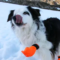 original sound - kyra_bc