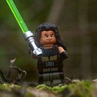 sw_brickzz