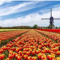 amsterdamnergiz