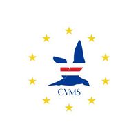 capeverdean_masswag