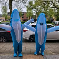 sharks4netherland