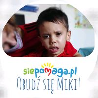 obudzsiemiki