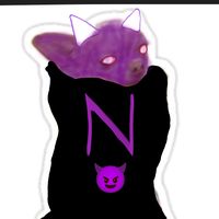 niko_pilka