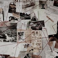 world.criminal.cases