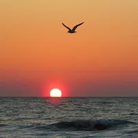 original sound - john.jacob.ph