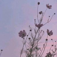 original sound - 백합