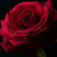 original sound - aishwaryamagar1
