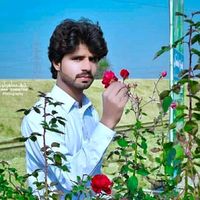 maliksaleem6985