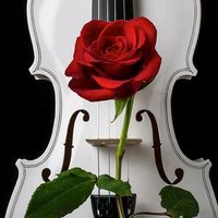 original sound - 🌷EvergreenNeverDies❤️