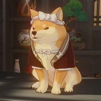 shibadawgs