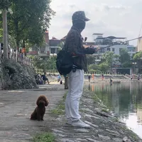 original sound - nguyen_hoang_linh_382