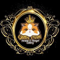 glittercrown_cattery_