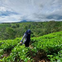 suara asli - Novel Fitri Handayani