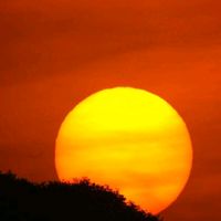 原聲 - 旭日東升