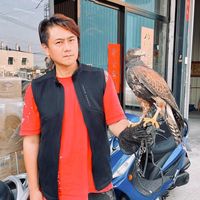 原聲 - 陳建宏Alex