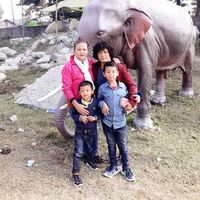 dingurmila509