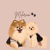 milorionthepom