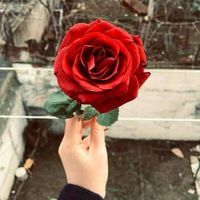 original sound - ꧁ 🌹༺あかい バラ༻🌹꧂