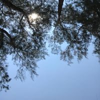 เสียงต้นฉบับ - Lift Me Up