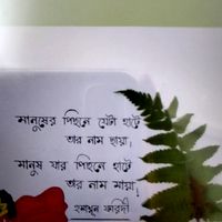 mdsabbir7601