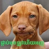 original sound - 💗★កច់ៗ★᭄P♡M࿐💗LD💗