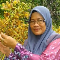 bunyi asal - Nooraidahhamzah