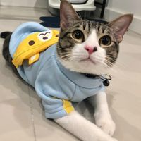 babysimba_ami