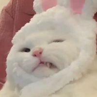 fluffyjann