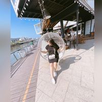 a6816736