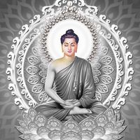 nhạc nền - Phật Pháp Nhiệm Màu