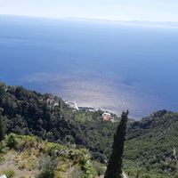πρωτότυπος ήχος