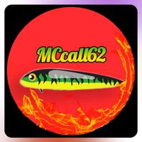 mccall6293