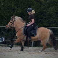 equestrian.maria.marlies