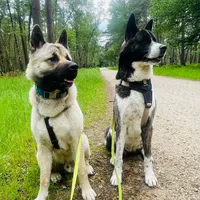 original sound - saskiavanzeist