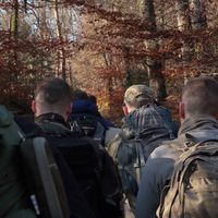 оригинальный звук