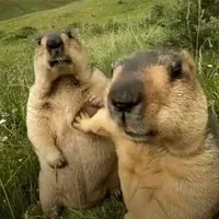 original sound - givi_iv2