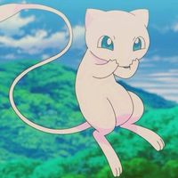 ssari_4