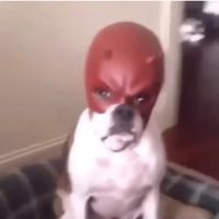 HAN FINNER DEG 28. NOV