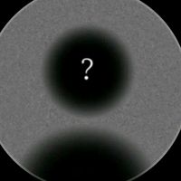account_sfogo248