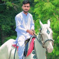 pindan.aly689