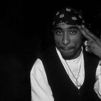 rap_ntn