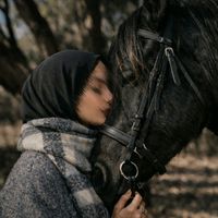 الصوت الأصلي