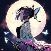 queen_shinobu._